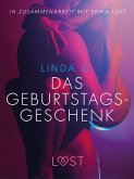 Das Geburtstagsgeschenk: Erika Lust-Erotik (eBook, ePUB)