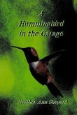 A Hummingbird in the Garage