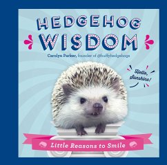 Hedgehog Wisdom - Parker, Carolyn