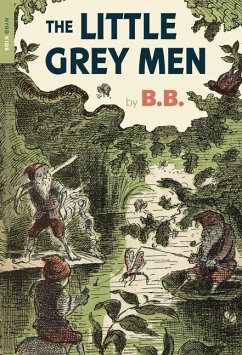 The Little Grey Men - B. B.