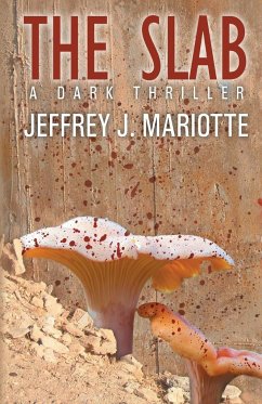 The Slab - Mariotte, Jeffrey J.