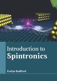 Introduction to Spintronics