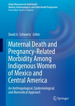 Maternal Death and Pregnancy-Related Morbidity Among Indigenous Women of Mexico and Central America (eBook, PDF)