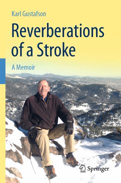 Reverberations of a Stroke (eBook, PDF) - Gustafson, Karl