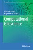 Computational Glioscience (eBook, PDF)
