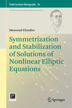 Symmetrization and Stabilization of Solutions of Nonlinear Elliptic Equations (eBook, PDF) - Efendiev, Messoud