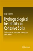 Hydrogeological Instability in Cohesive Soils (eBook, PDF)