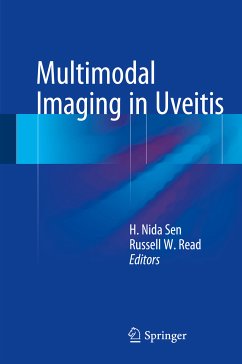 Multimodal Imaging in Uveitis (eBook, PDF)