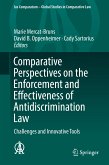 Comparative Perspectives on the Enforcement and Effectiveness of Antidiscrimination Law (eBook, PDF)