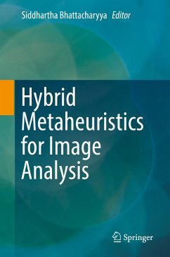 Hybrid Metaheuristics for Image Analysis (eBook, PDF)