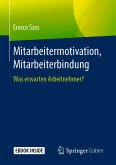 Mitarbeitermotivation, Mitarbeiterbindung (eBook, PDF)