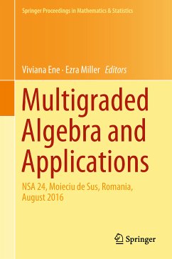 Multigraded Algebra and Applications (eBook, PDF)