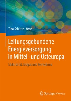 Leitungsgebundene Energieversorgung in Mittel- und Osteuropa (eBook, PDF)