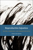Reproductive Injustice (eBook, ePUB)