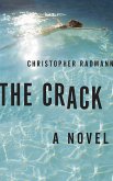 Crack (eBook, ePUB)