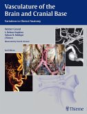 Vasculature of the Brain and Cranial Base (eBook, PDF)