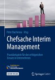 Chefsache Interim Management (eBook, PDF)