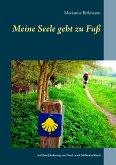 Meine Seele geht zu Fuß (eBook, ePUB)