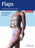 Flaps (eBook, PDF)