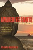 Awakening Giants, Feet of Clay (eBook, ePUB)