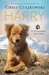 Harry (eBook, ePUB) - Bild 1