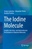 The Iodine Molecule (eBook, PDF)