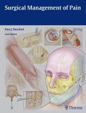 Surgical Management of Pain (eBook, PDF)