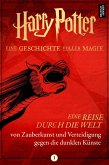 Harry Potter: Eine Reise durch die Welt von Zauberkunst und Verteidigung gegen die dunklen Künste (eBook, ePUB)