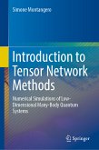 Introduction to Tensor Network Methods (eBook, PDF)