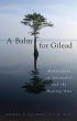 A Balm for Gilead (eBook, ePUB) - Bild 1