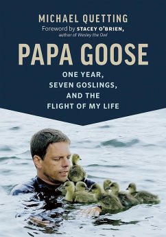 Papa Goose (eBook, ePUB) - Quetting, Michael