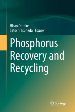 Phosphorus Recovery and Recycling (eBook, PDF)