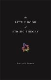 Little Book of String Theory (eBook, ePUB)