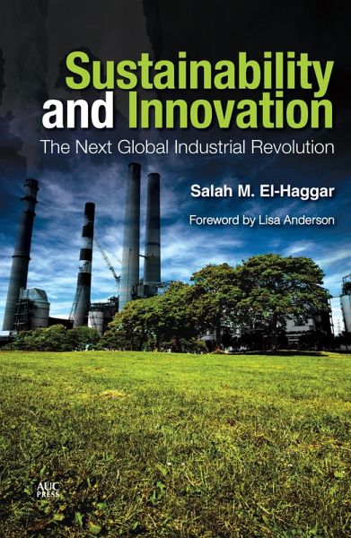Sustainability and Innovation (eBook, ePUB)