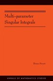 Multi-parameter Singular Integrals. (AM-189), Volume I (eBook, ePUB)