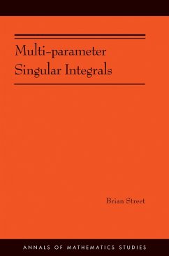 Cover Multi-parameter Singular Integrals. (AM-189), Volume I (eBook, ePUB)