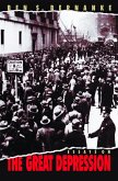 Essays on the Great Depression (eBook, ePUB)