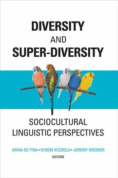 Diversity and Super-Diversity (eBook, ePUB)