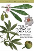 Trees of Panama and Costa Rica (eBook, ePUB)