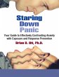 Staring Down Panic: Your Guide to... - Bild 1