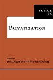 Privatization (eBook, ePUB)