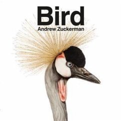 Cover Bird (eBook, PDF)