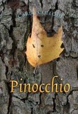 Pinocchio (eBook, PDF)