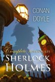 Sherlock Holmes (eBook, PDF)