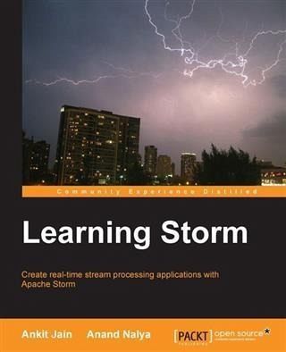 Learning Storm (eBook, PDF)