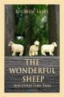 Wonderful Sheep and Other Fairy Tales... - Bild 1