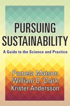 Pursuing Sustainability (eBook, ePUB) - Matson, Pamela