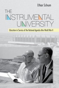 The Instrumental University (eBook, PDF)