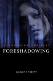 Shadows of the Past: Foreshadowing (eBook, ePUB)