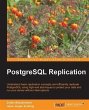 PostgreSQL Replication (eBook, PDF) - Bild 1